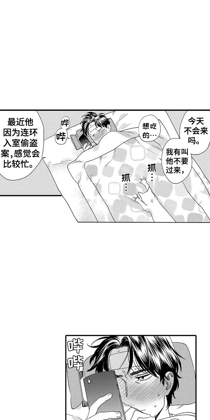 《我的警官先生》第17章响声 第4页
