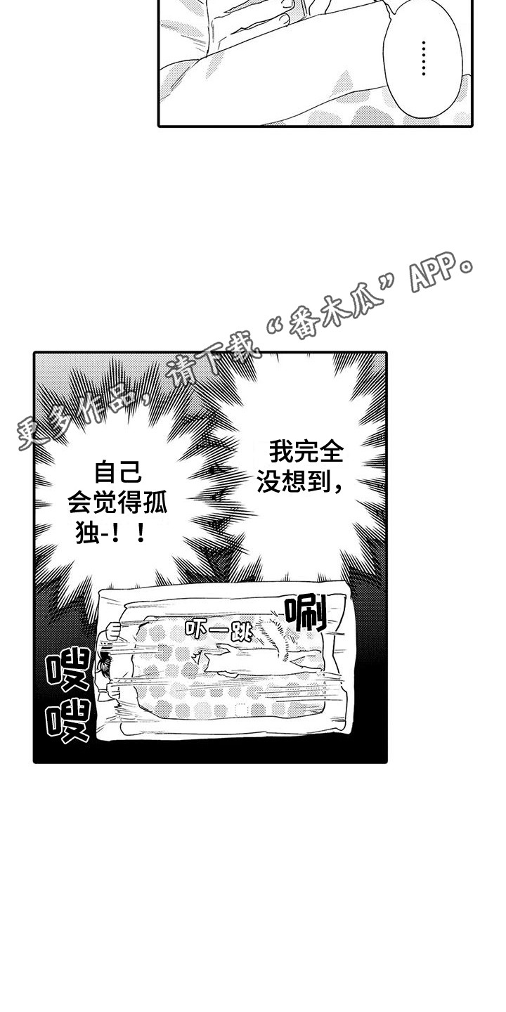 《我的警官先生》第17章响声 第5页