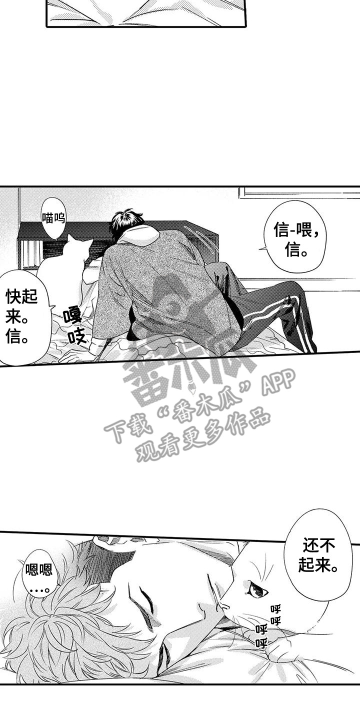 《我的警官先生》第21章修理房屋 第17页