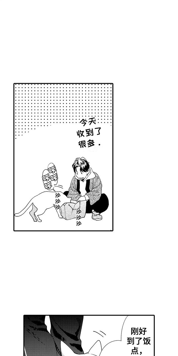 《我的警官先生》第21章修理房屋 第9页