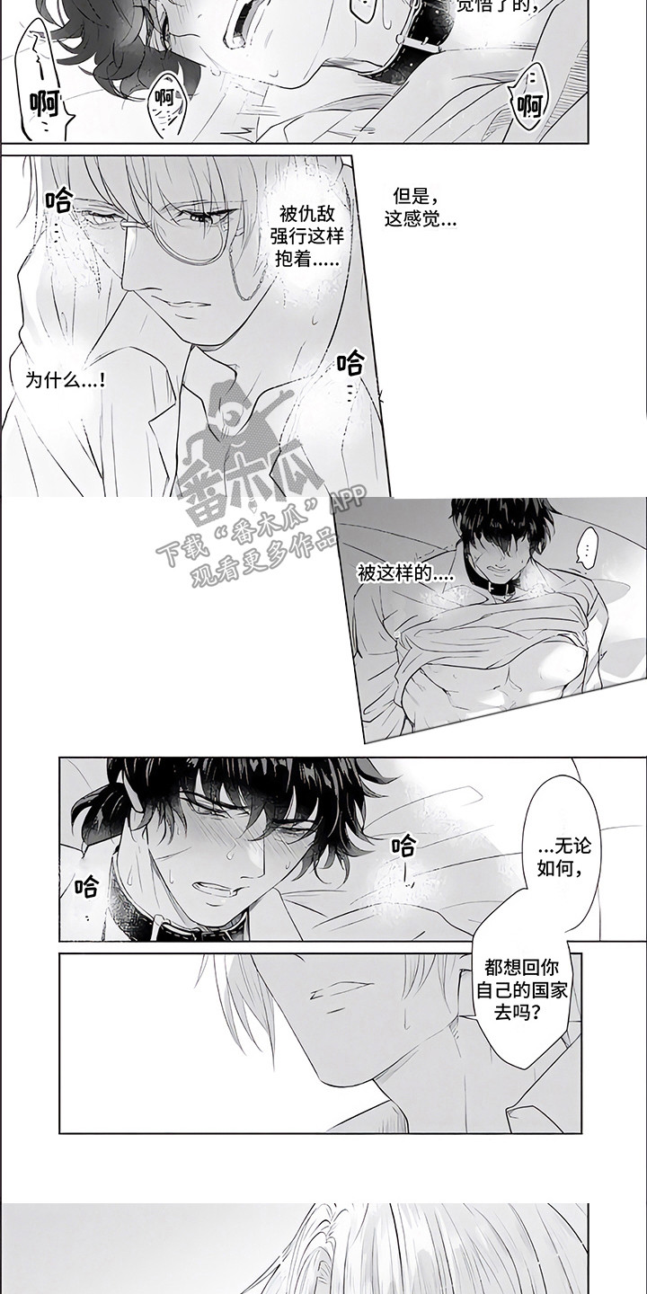 《人偶师》第7章管教 第7页