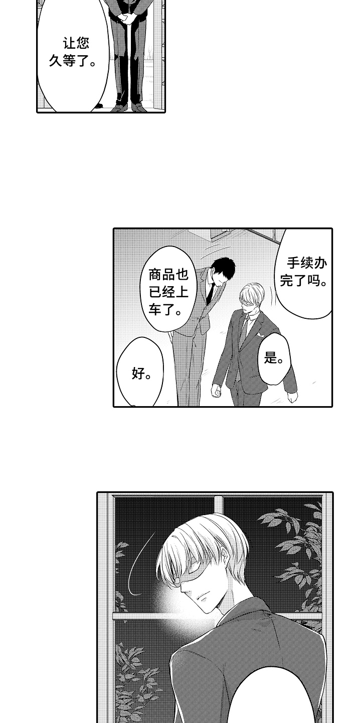 《专属拍品》第2章买下 第11页