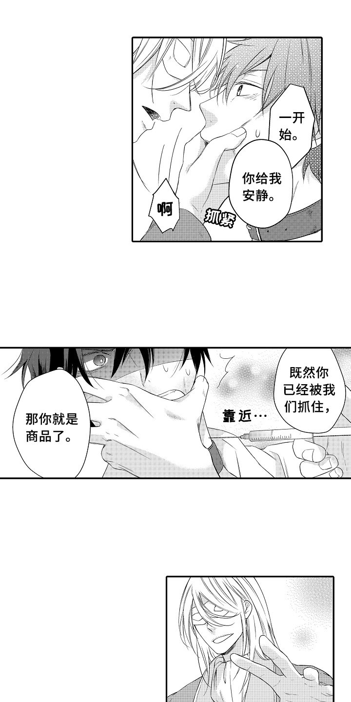 《专属拍品》第2章买下 第1页