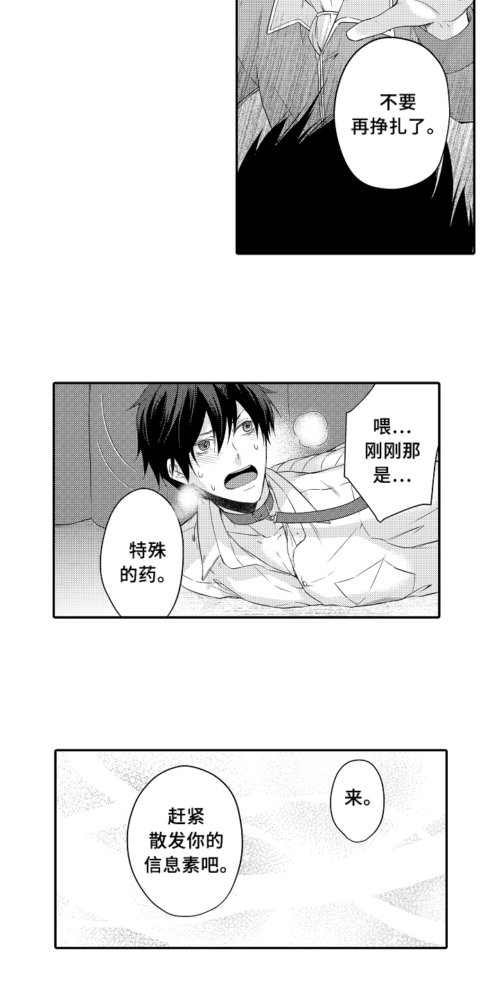 《专属拍品》第2章买下 第2页