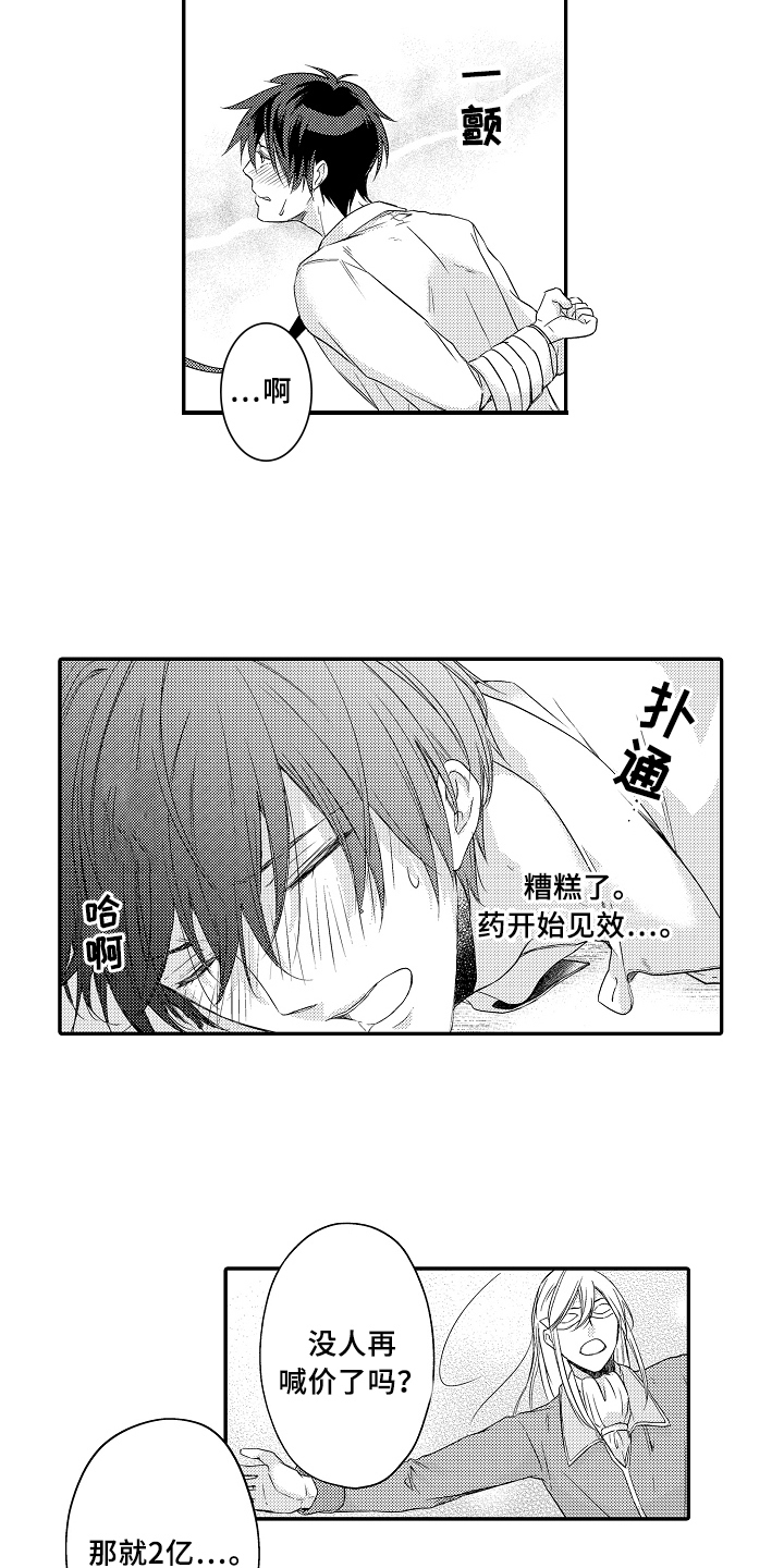 《专属拍品》第2章买下 第8页