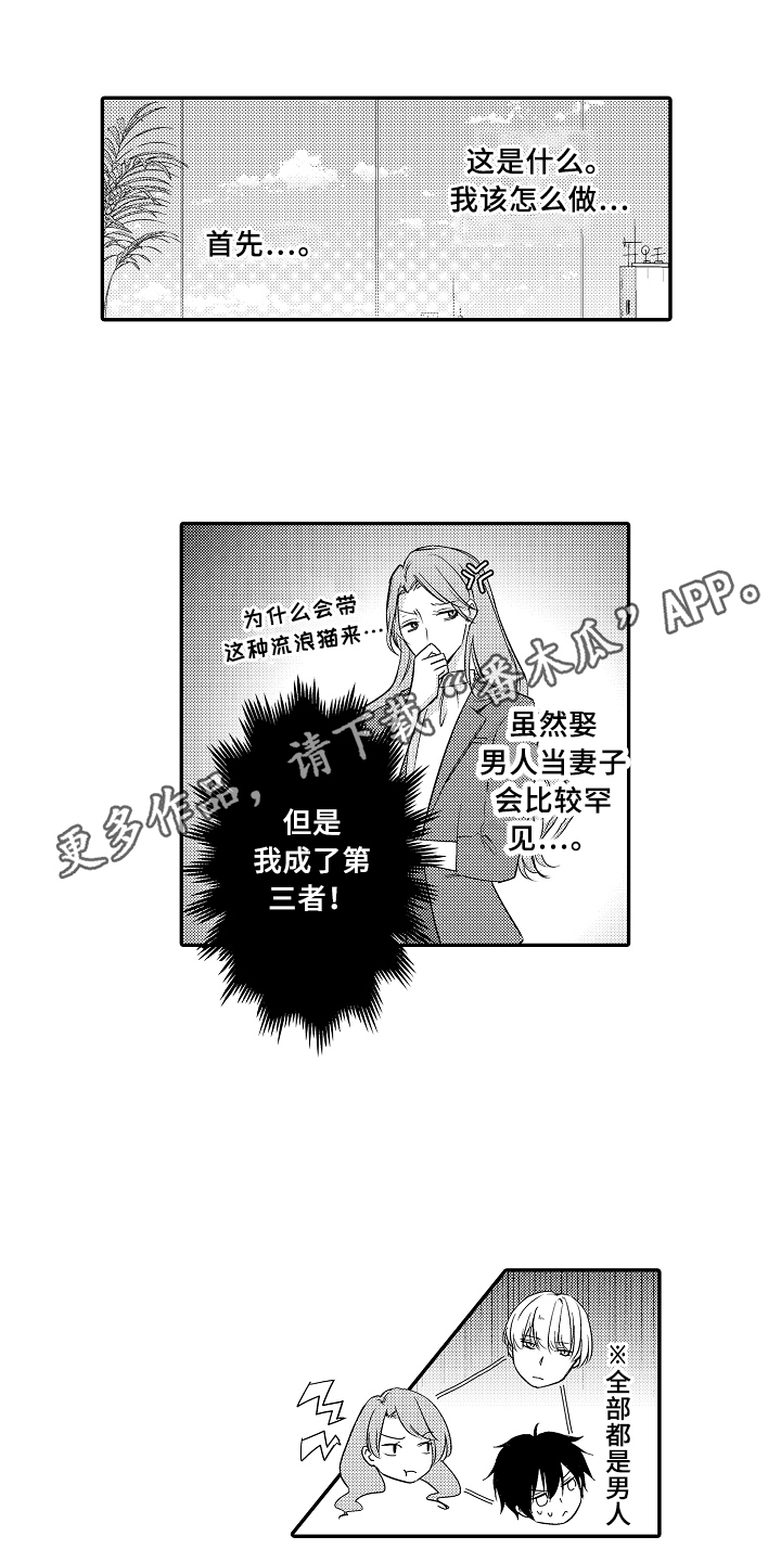 《专属拍品》第4章猜测 第18页