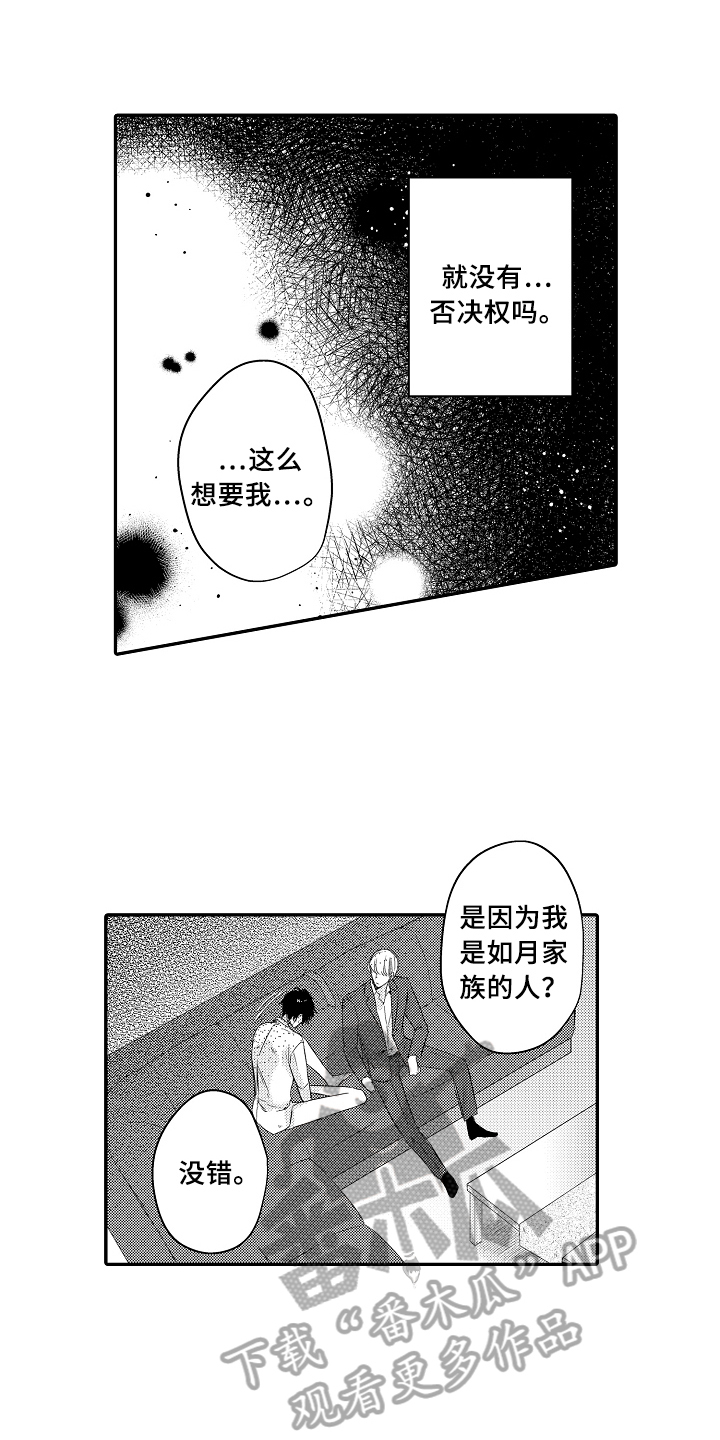 《专属拍品》第4章猜测 第1页