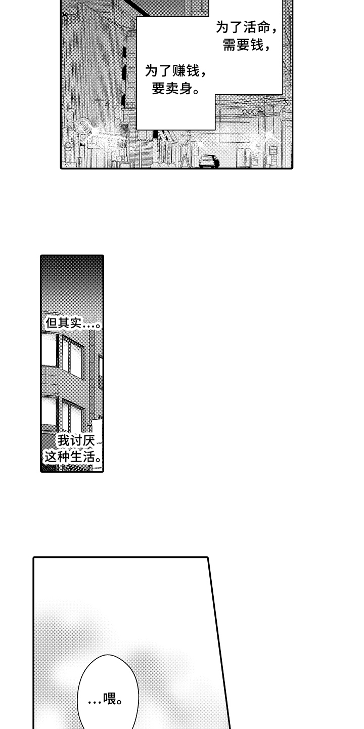 《专属拍品》第4章猜测 第5页