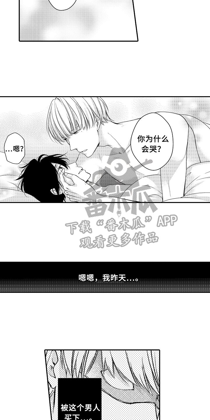 《专属拍品》第4章猜测 第6页