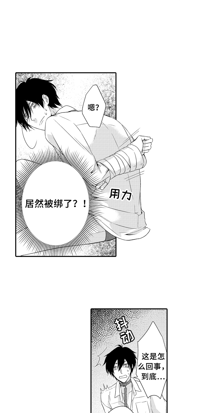 《专属拍品》第1章拍卖 第11页
