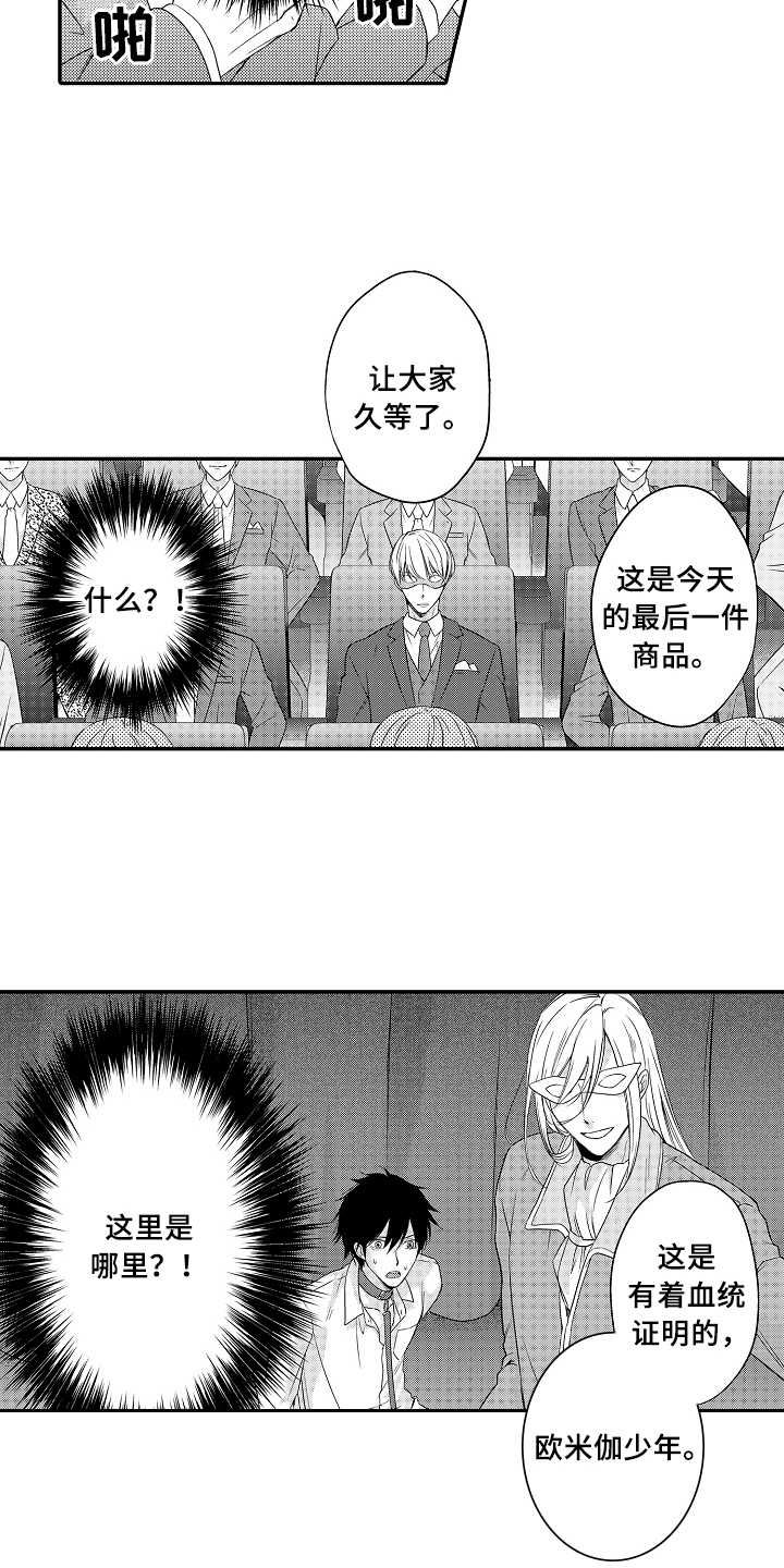 《专属拍品》第1章拍卖 第14页