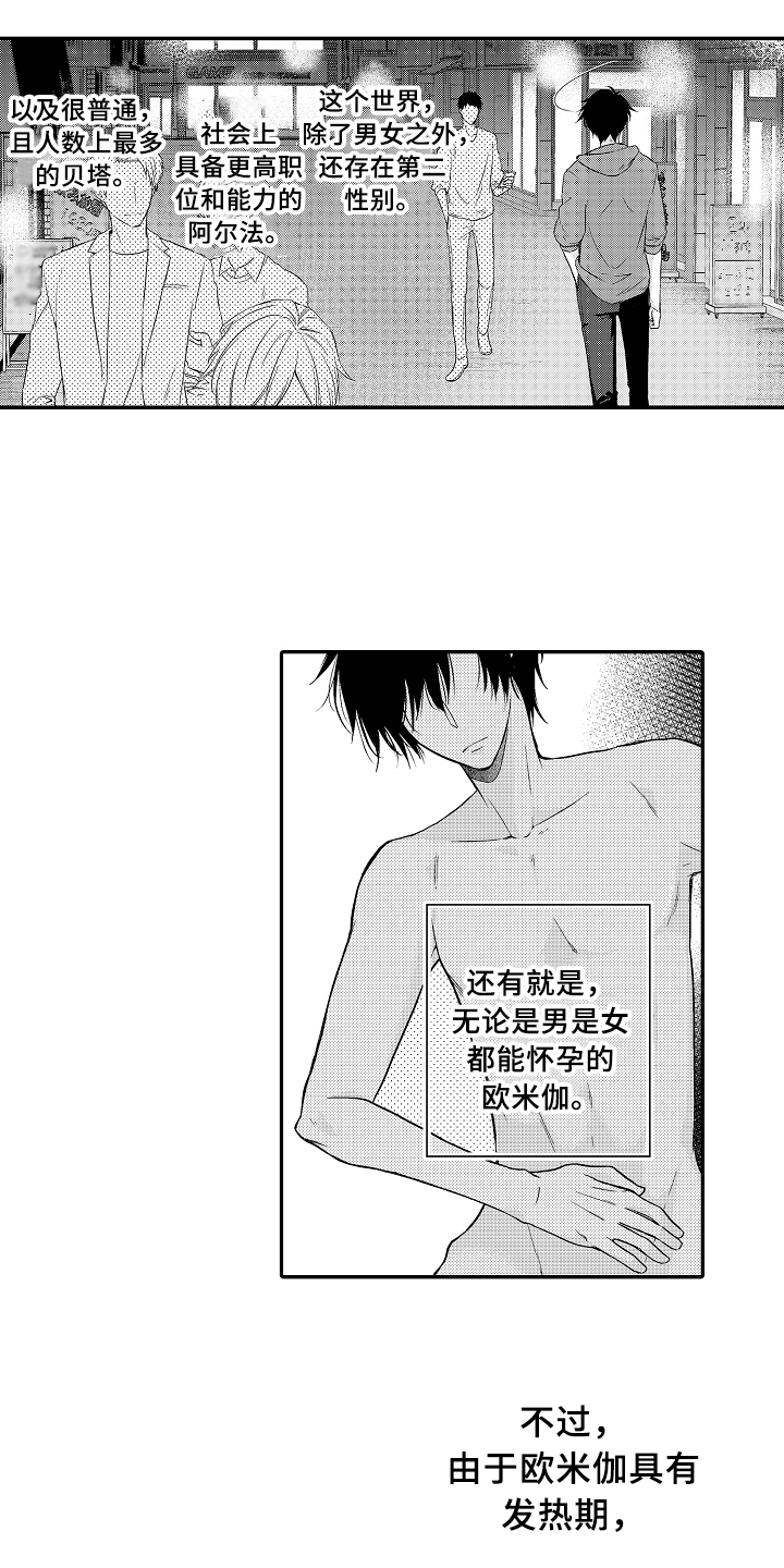 《专属拍品》第1章拍卖 第3页