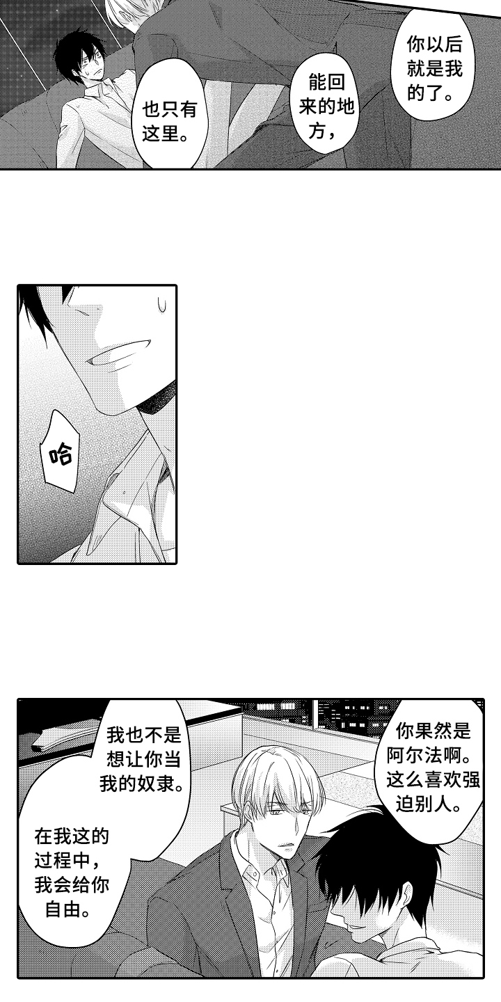 《专属拍品》第3章目的 第15页