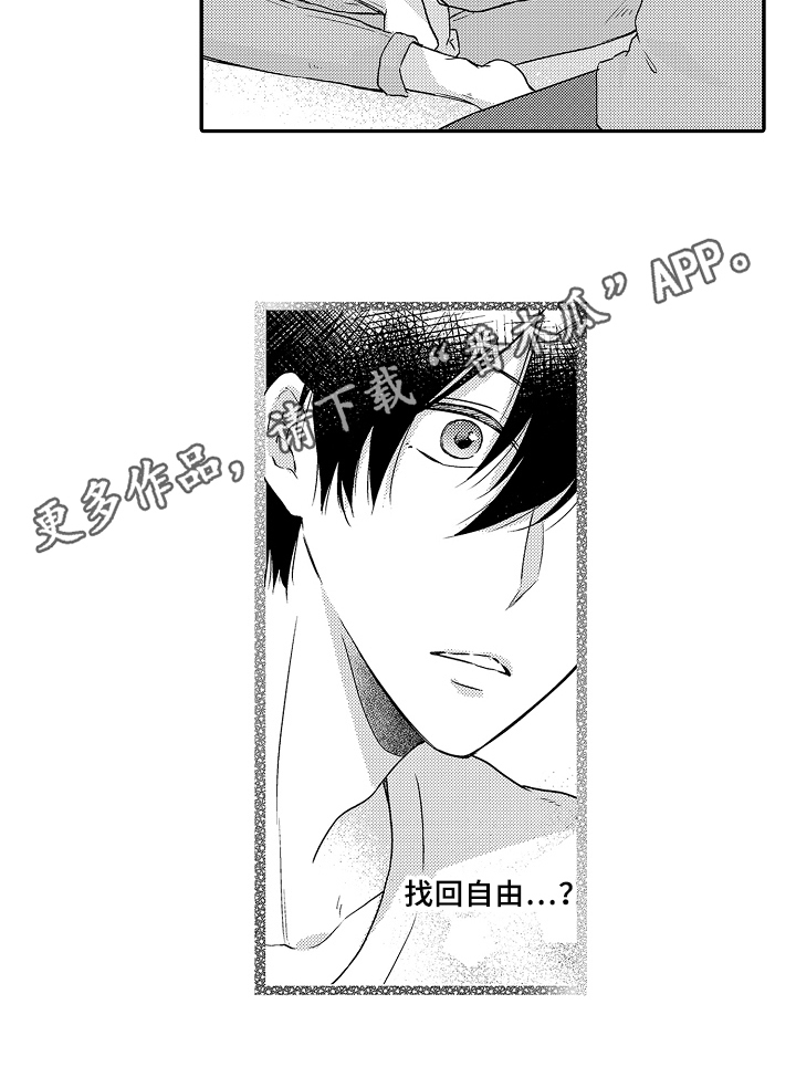 《专属拍品》第15章自由 第16页
