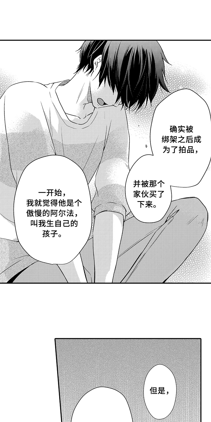 《专属拍品》第16章决定 第4页