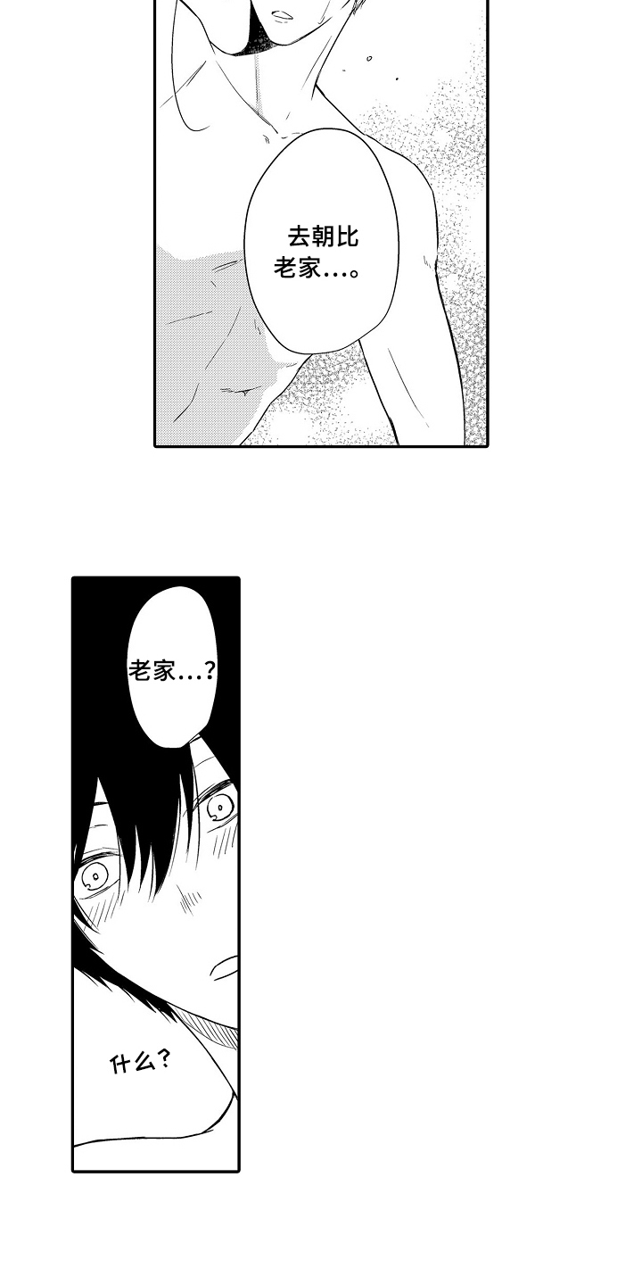 《专属拍品》第19章礼物 第11页