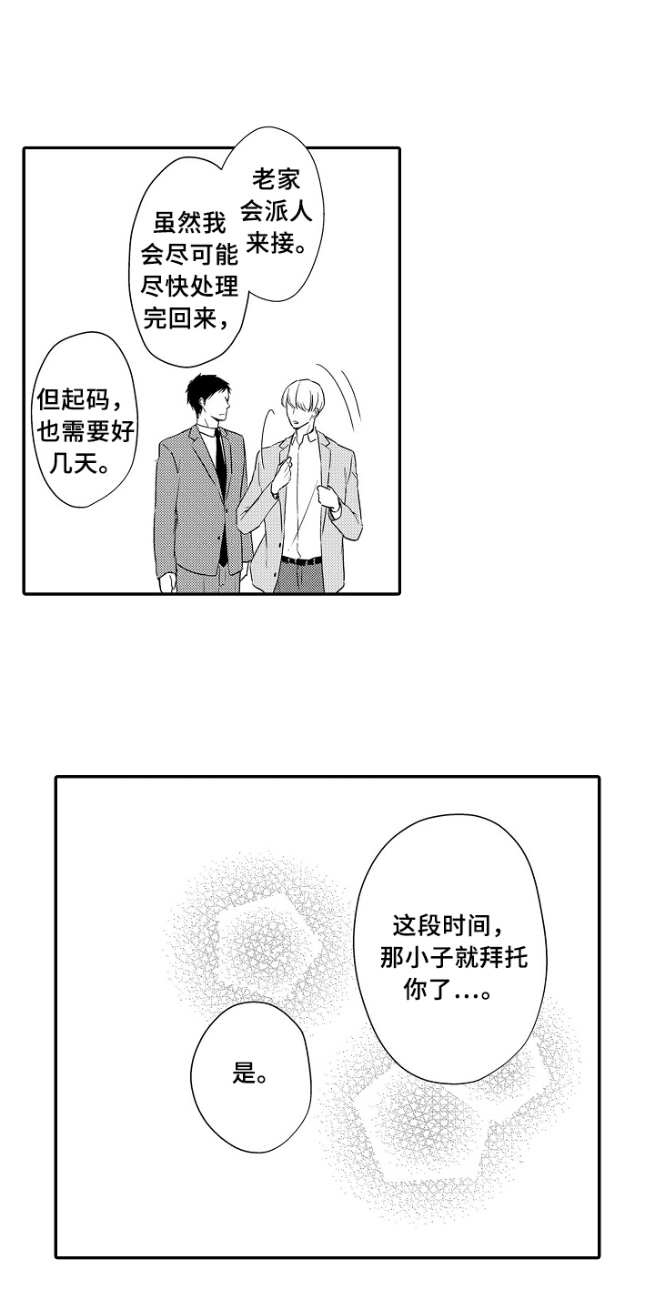 《专属拍品》第20章项链 第10页