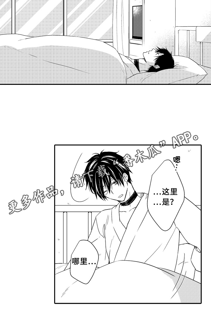 《专属拍品》第20章项链 第15页