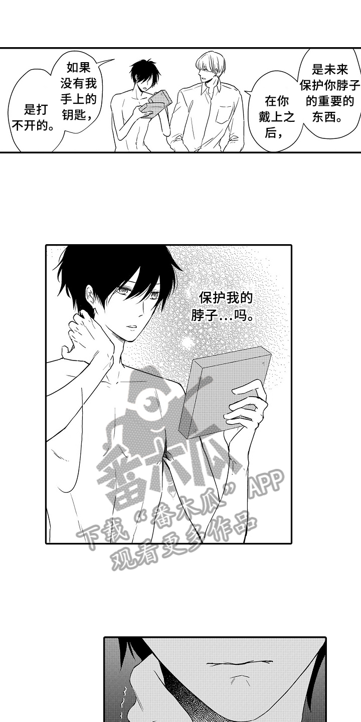 《专属拍品》第20章项链 第1页