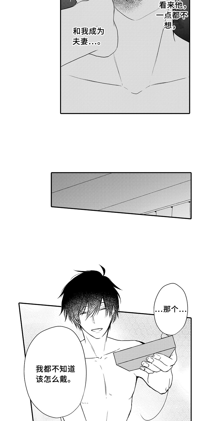 《专属拍品》第20章项链 第2页