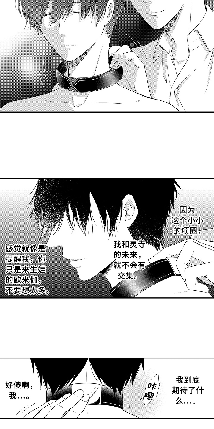 《专属拍品》第20章项链 第4页