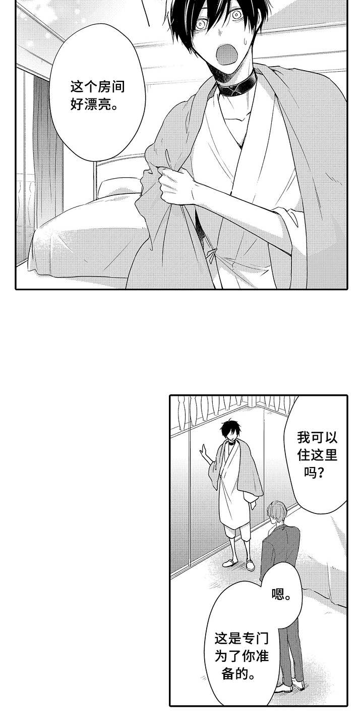 《专属拍品》第21章被骗 第10页