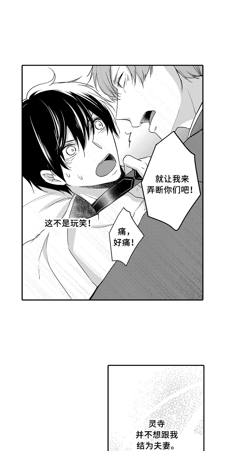 《专属拍品》第23章拒绝 第14页