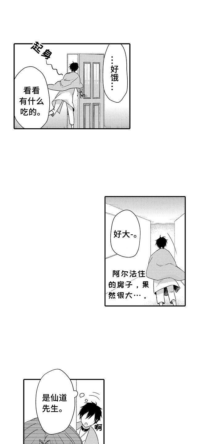 《专属拍品》第23章拒绝 第2页