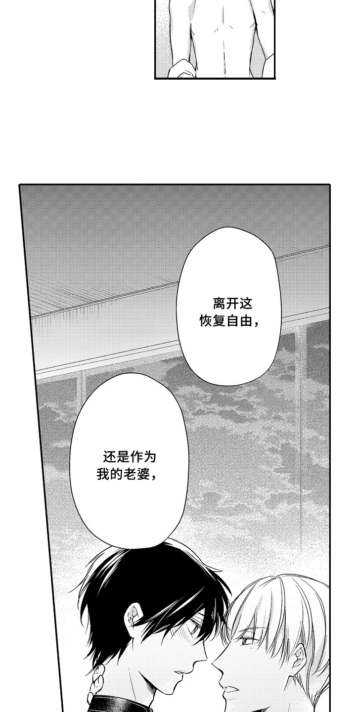 《专属拍品》第26章选择 第15页