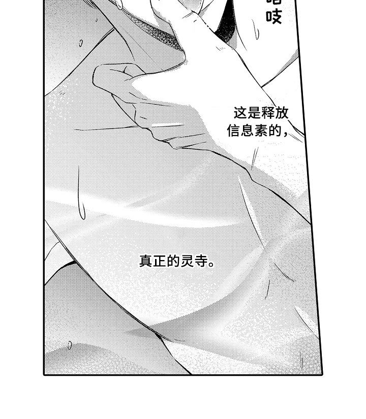 《专属拍品》第27章真正的灵寺 第14页
