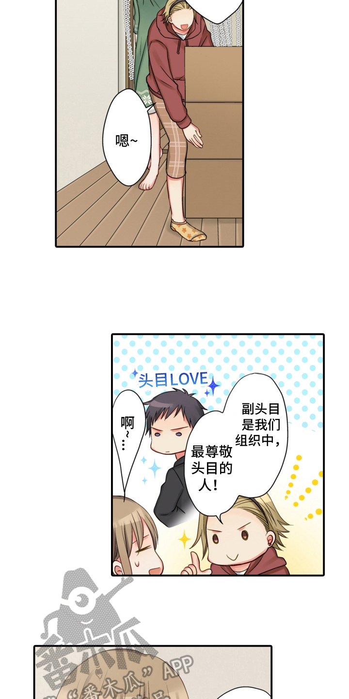 《不能离开我》第17章搬家 第11页
