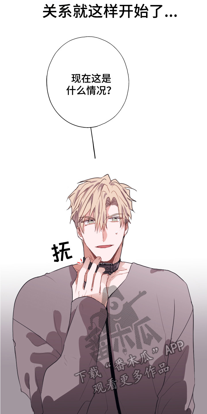 《失误的组长》第14章组成搭档（完结） 第15页