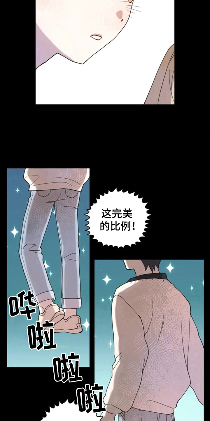 《我的理想型男友》第1章追星 第11页