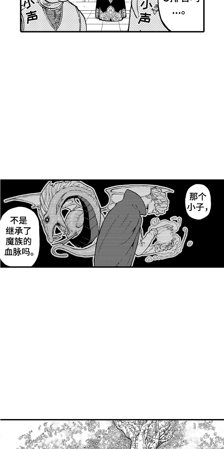 《圣人契约》第1章魔法师 第4页