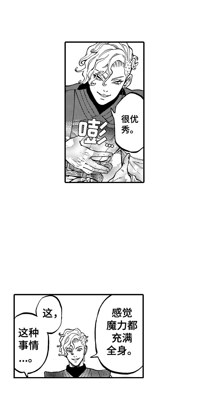 《圣人契约》第4章魔力 第5页