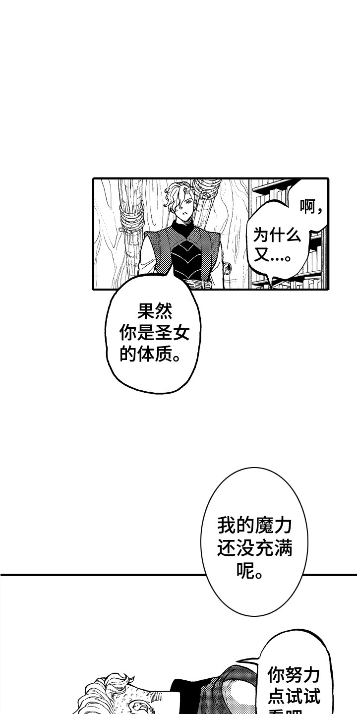 《圣人契约》第4章魔力 第8页