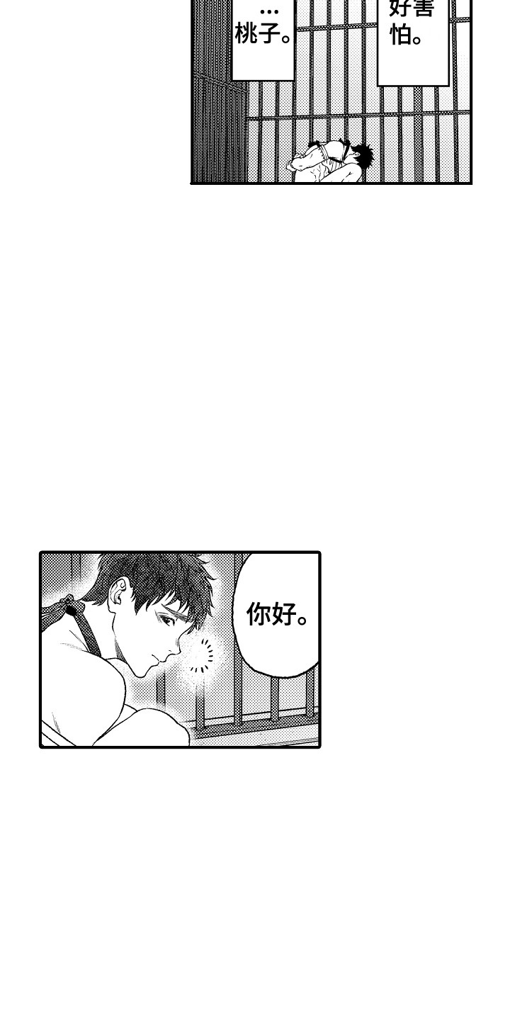 《圣人契约》第9章被绑架 第12页