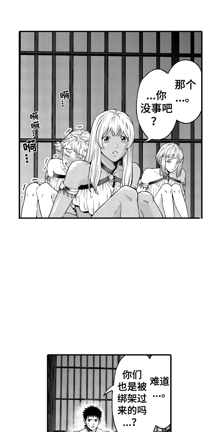 《圣人契约》第9章被绑架 第13页