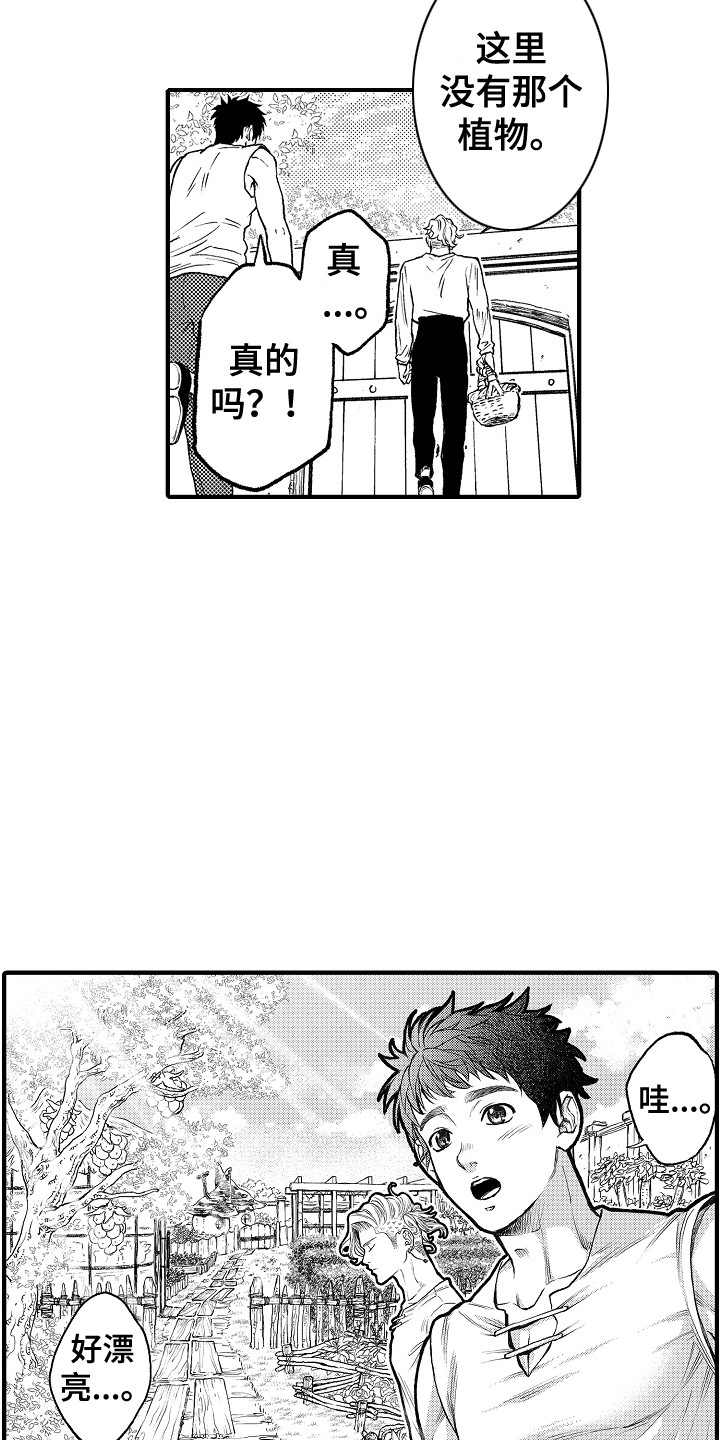 《圣人契约》第8章果园 第3页