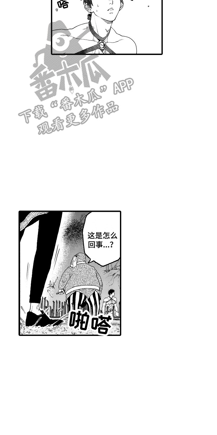 《圣人契约》第12章愤怒 第2页