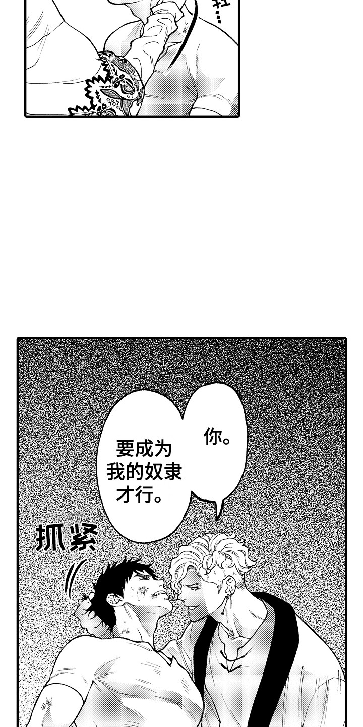 《圣人契约》第26章条件 第13页