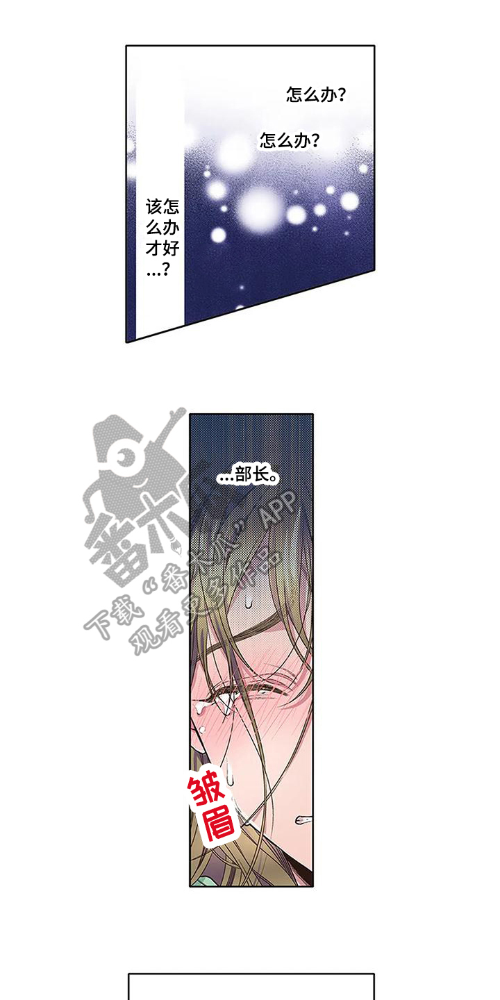 《驱灵之恋》第10章驱魔 第1页