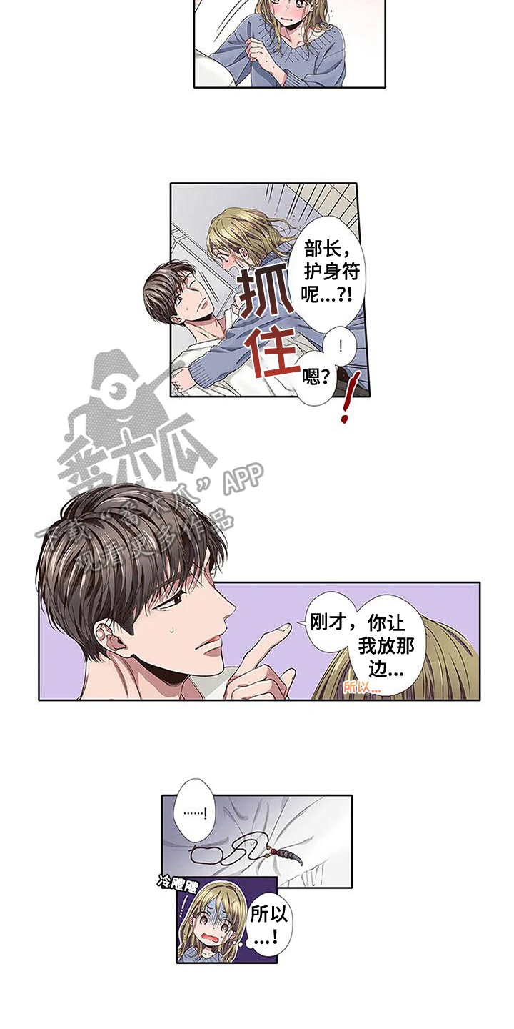 《驱灵之恋》第16章护身符 第11页