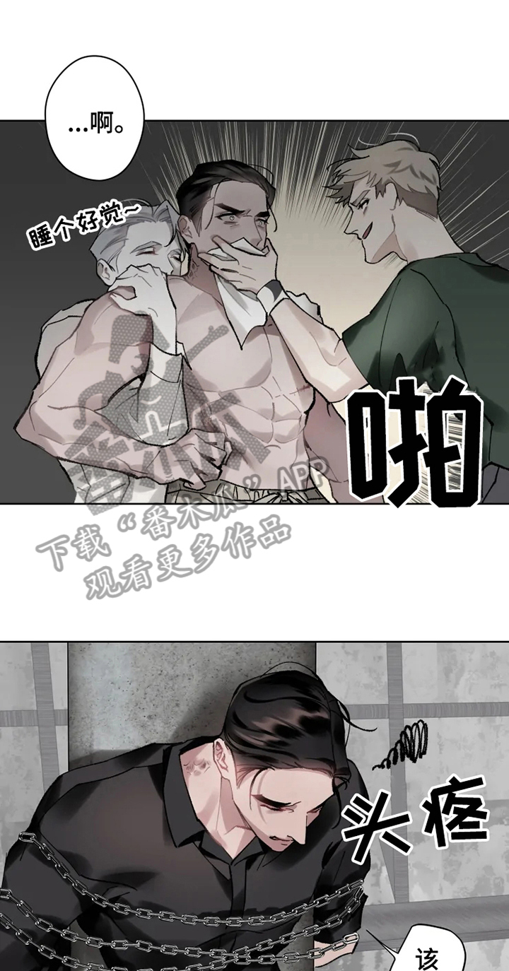 《异常现象者》第14章不久再见 第1页