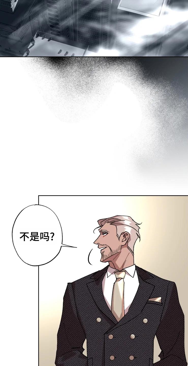 《异常现象者》第50章不自然的雾 第4页