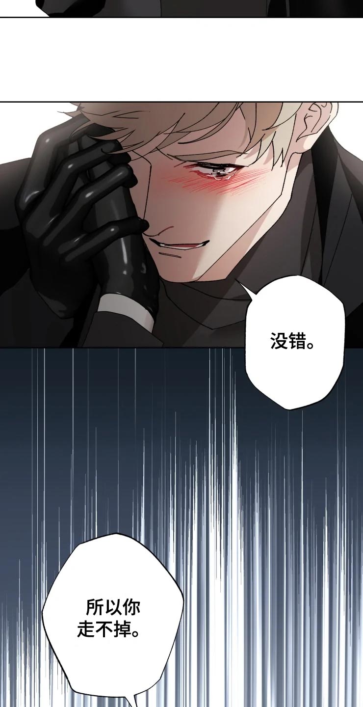 《异常现象者》第53章唯一的家人 第20页