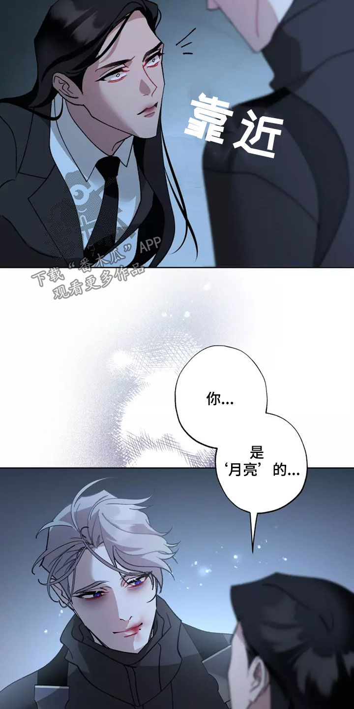 《异常现象者》第59章战争不会停止 第7页