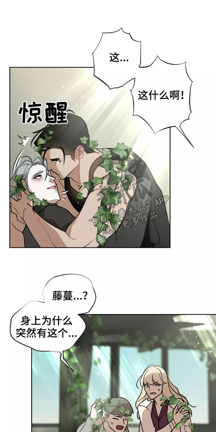 《异常现象者》第62章相信你 第17页
