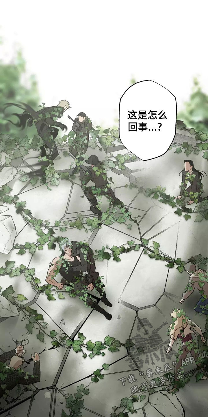 《异常现象者》第61章灾害化 第16页