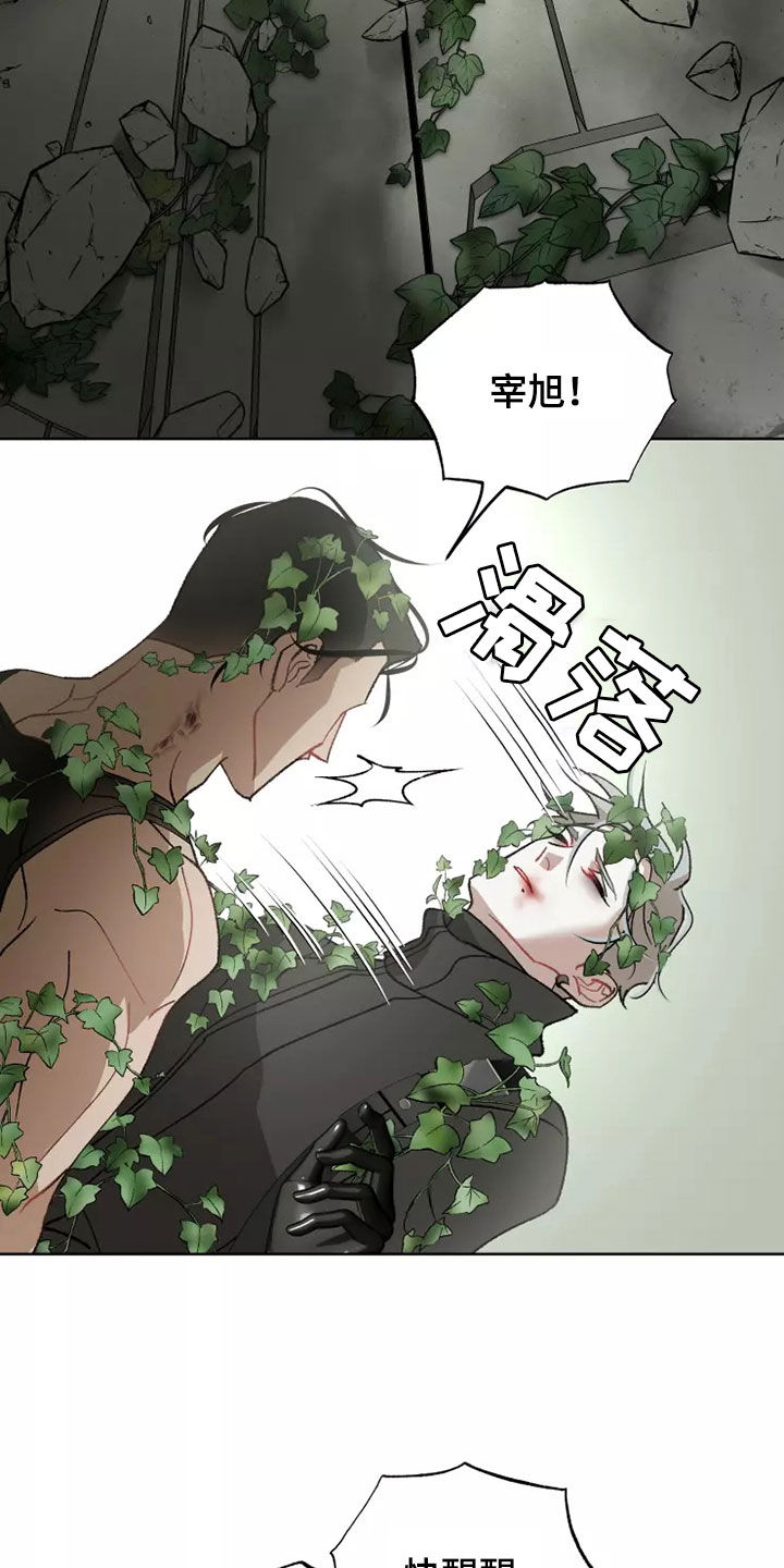 《异常现象者》第61章灾害化 第17页